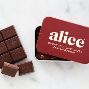 Alice Mushrooms chocolate